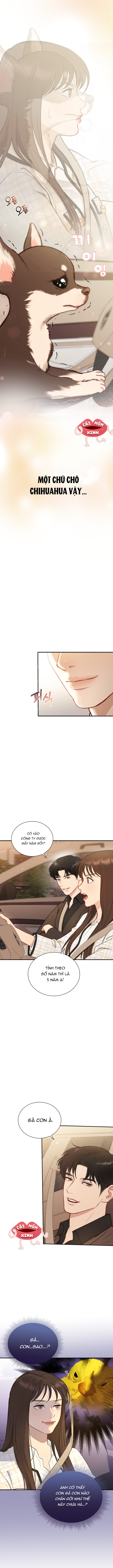 Văn Phòng Thư Ký - Chap 2 - Trang 11