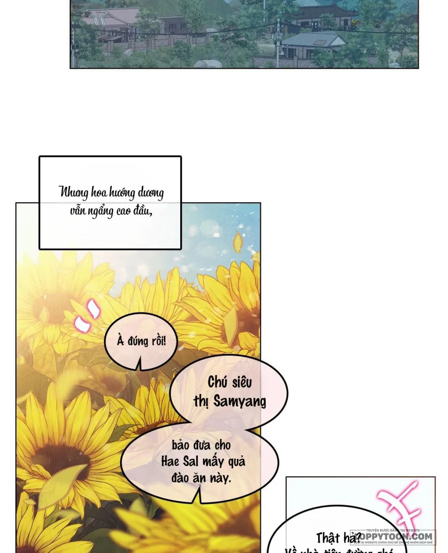Vào Mùa Hoa Hướng Dương Khẽ Thì Thầm - Chap 14 - Trang 80