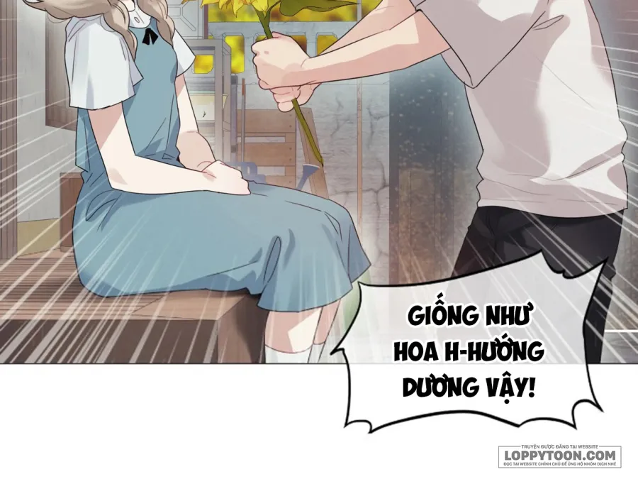 Vào Mùa Hoa Hướng Dương Khẽ Thì Thầm - Chap 3 - Trang 16