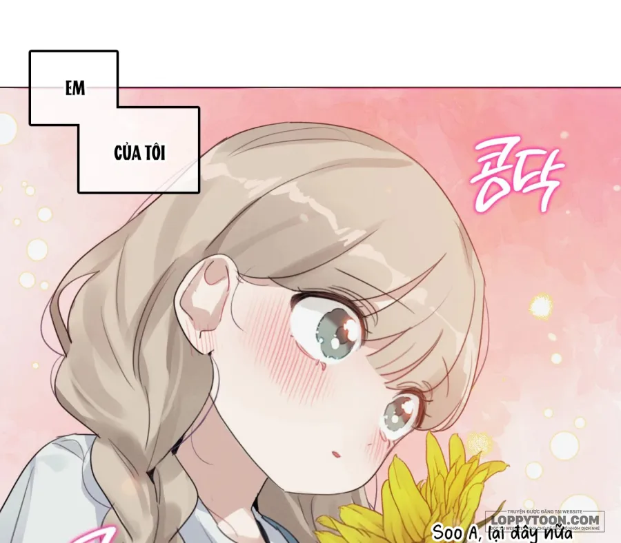 Vào Mùa Hoa Hướng Dương Khẽ Thì Thầm - Chap 3 - Trang 21