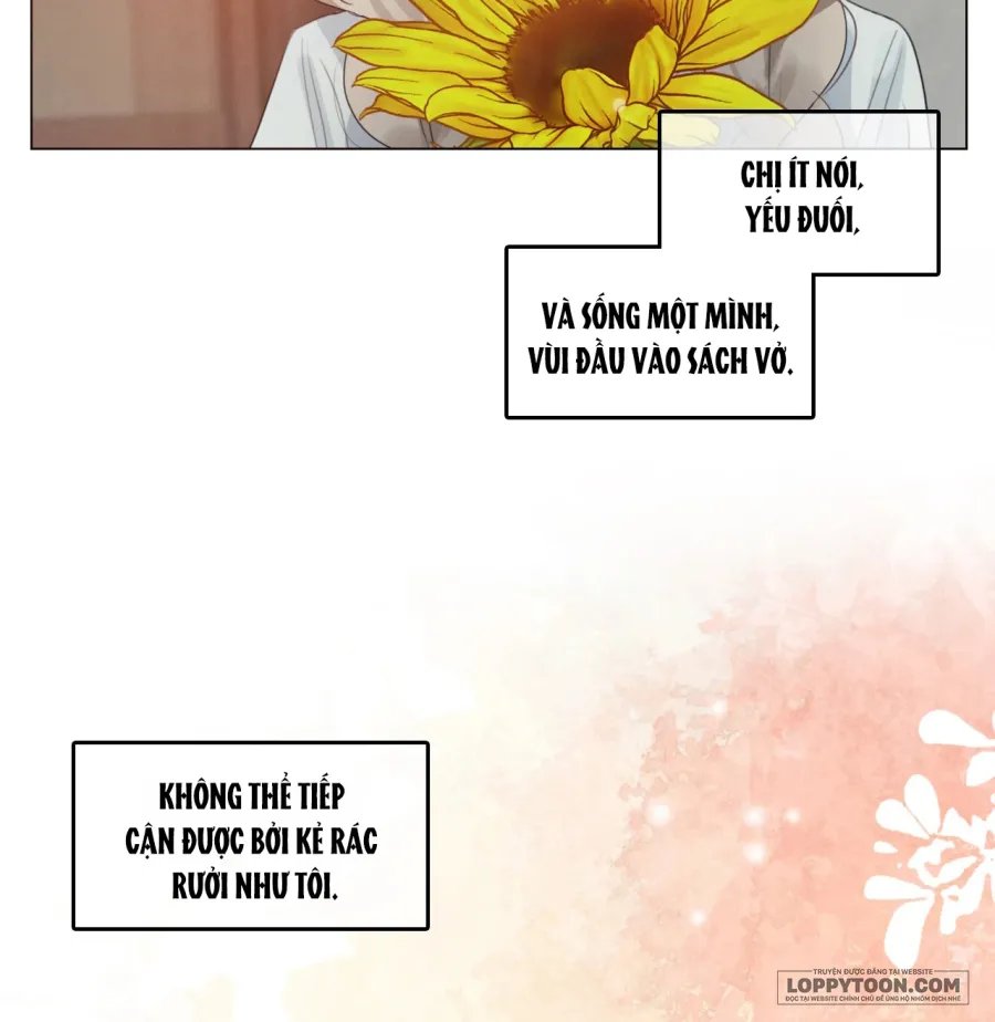 Vào Mùa Hoa Hướng Dương Khẽ Thì Thầm - Chap 4 - Trang 23