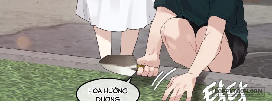 Vào Mùa Hoa Hướng Dương Khẽ Thì Thầm - Chap 6.5 - Trang 33