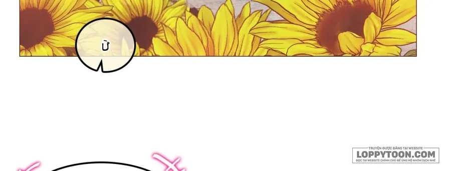 Vào Mùa Hoa Hướng Dương Khẽ Thì Thầm - Chap 6.5 - Trang 63