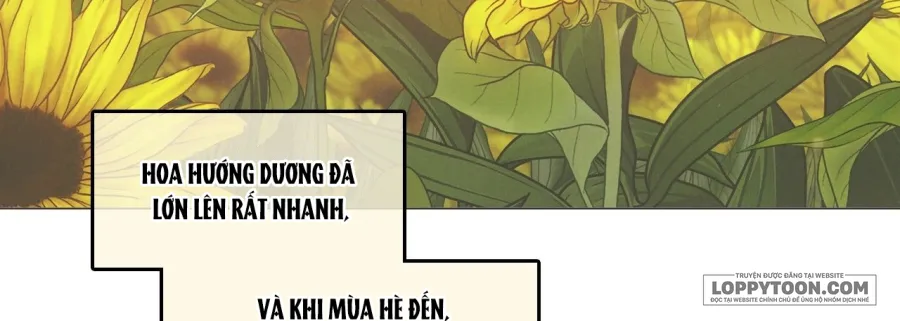 Vào Mùa Hoa Hướng Dương Khẽ Thì Thầm - Chap 7 - Trang 39