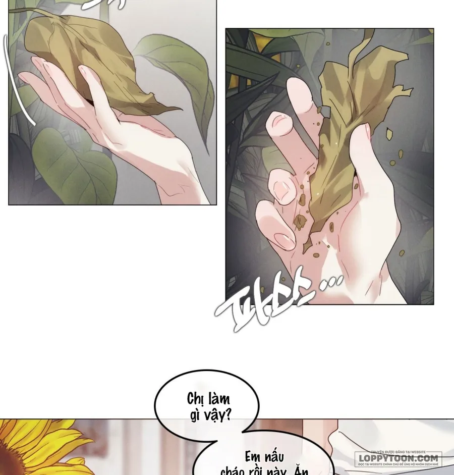 Vào Mùa Hoa Hướng Dương Khẽ Thì Thầm - Chap 9 - Trang 17