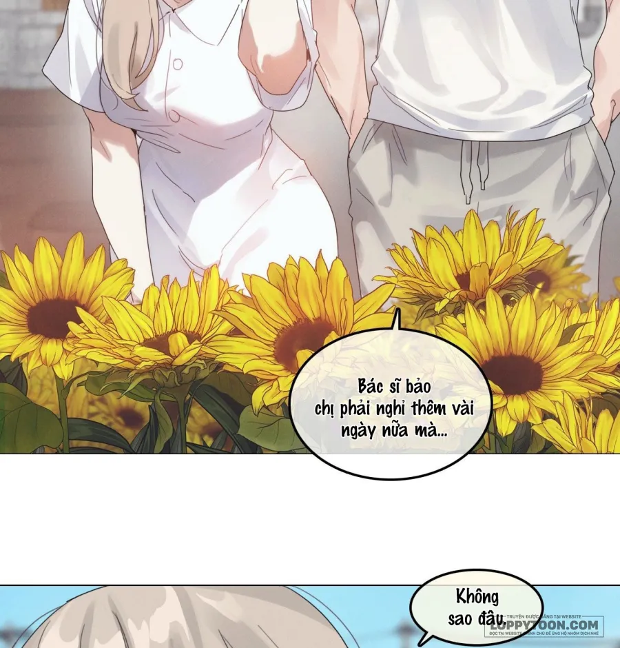 Vào Mùa Hoa Hướng Dương Khẽ Thì Thầm - Chap 9 - Trang 21