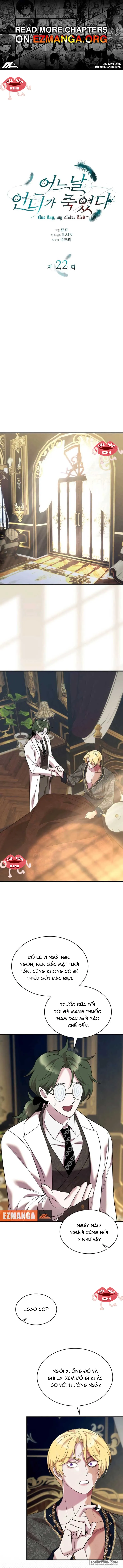 Vào Ngày Mà Chị Gái Tôi Qua Đời - Chap 22 - Trang 1