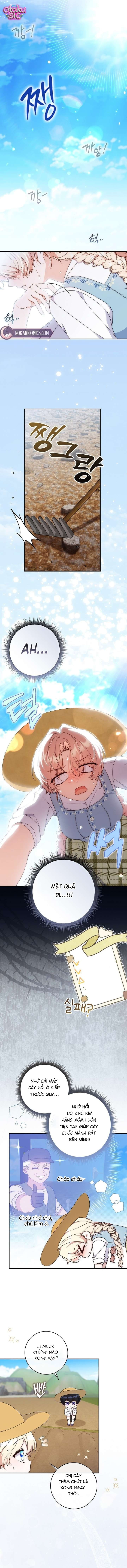 Vị hoàng đế này đang lừa hôn - Chap 7 - Trang 11