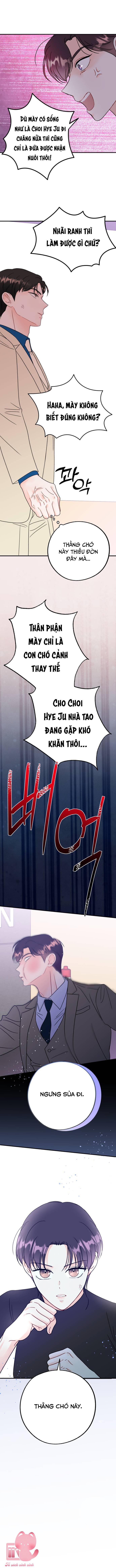 Xác Suất Tình Yêu - Chap 37 - Trang 6