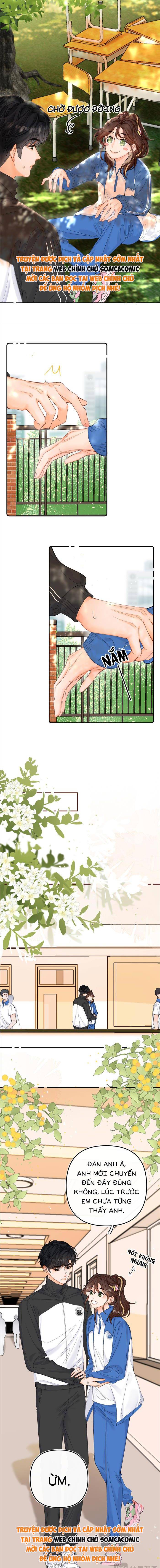 Xin Hãy Chăm Sóc Nhiều Hơn - Chap 8 - Trang 3