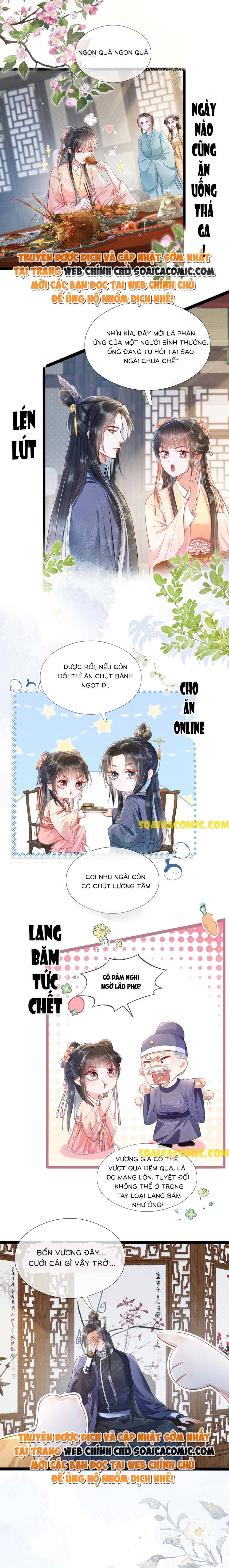 Xuyên Không Về Gả Cho Vương Gia Ốm Yếu - Chap 0 - Trang 3