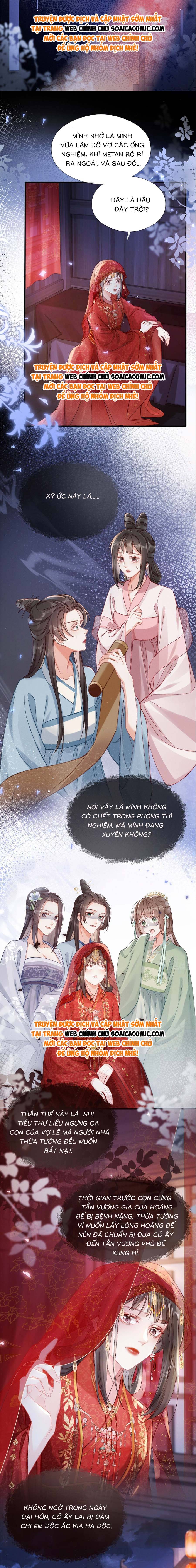 Xuyên Không Về Gả Cho Vương Gia Ốm Yếu - Chap 1 - Trang 10