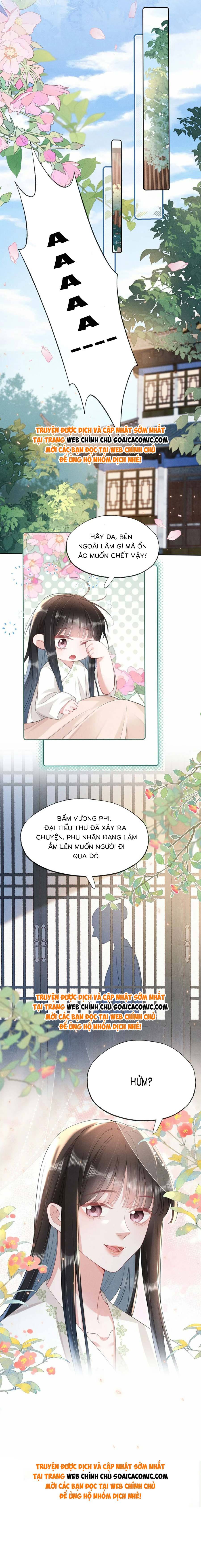 Xuyên Không Về Gả Cho Vương Gia Ốm Yếu - Chap 16 - Trang 12