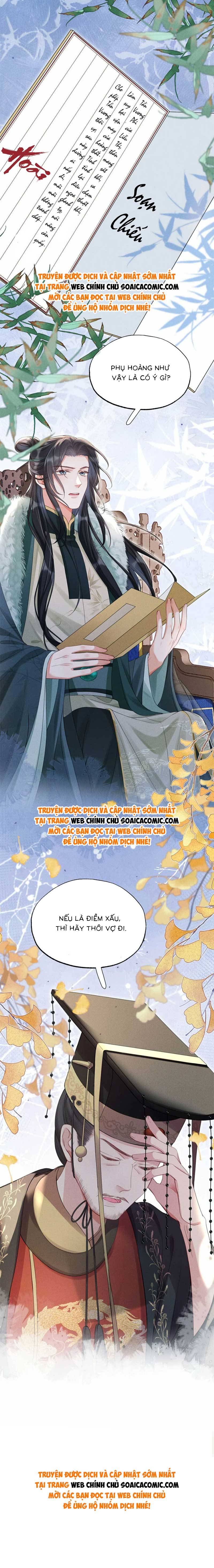 Xuyên Không Về Gả Cho Vương Gia Ốm Yếu - Chap 19 - Trang 9