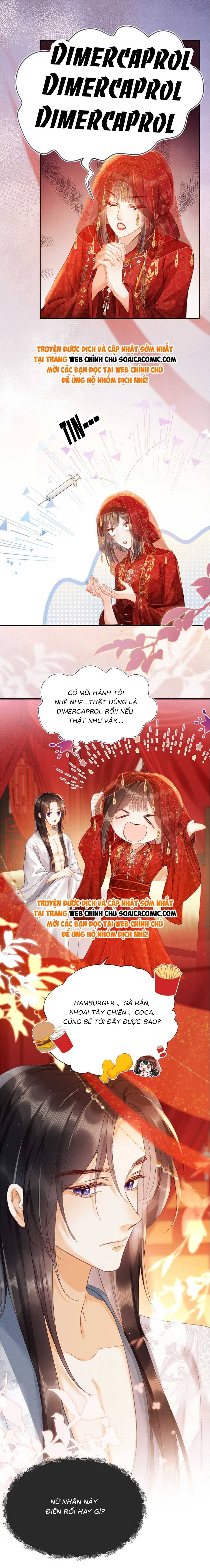Xuyên Không Về Gả Cho Vương Gia Ốm Yếu - Chap 3 - Trang 3