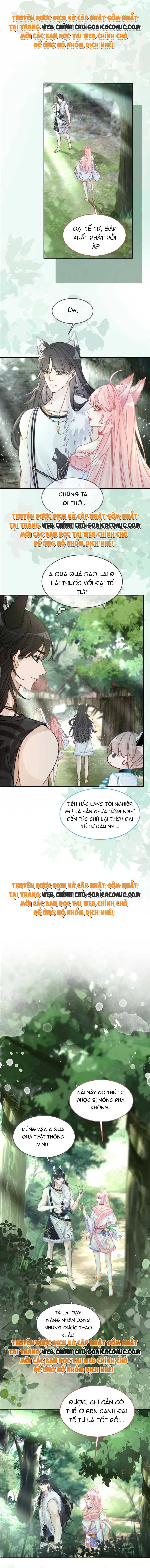 Xuyên Nhanh Nữ Xứng Bình Tĩnh Một Chút - Chap 158 - Trang 5