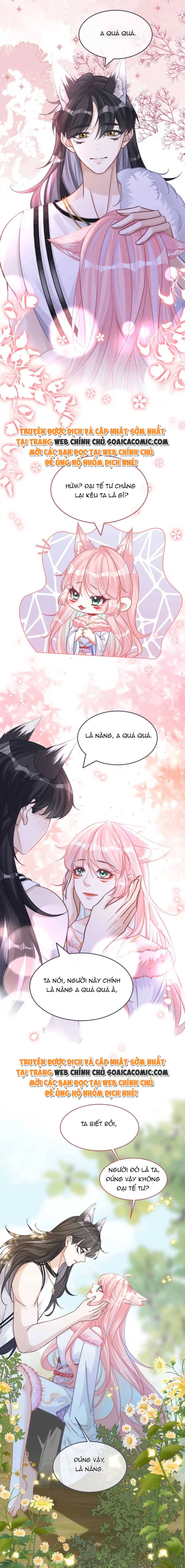 Xuyên Nhanh Nữ Xứng Bình Tĩnh Một Chút - Chap 163 - Trang 11