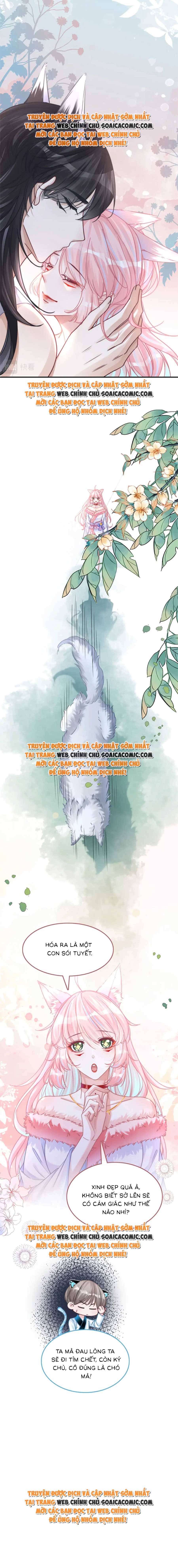 Xuyên Nhanh Nữ Xứng Bình Tĩnh Một Chút - Chap 164 - Trang 8