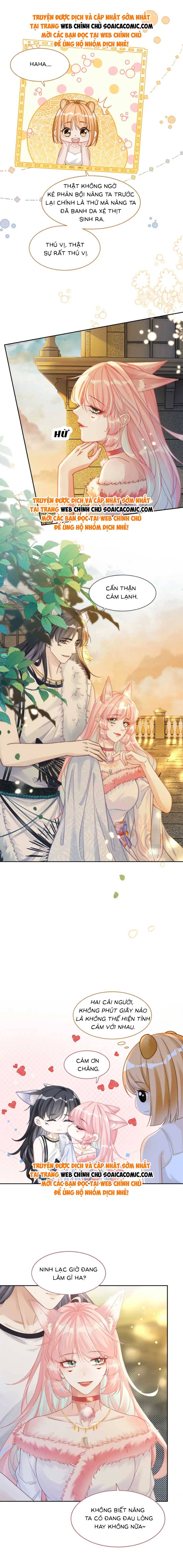 Xuyên Nhanh Nữ Xứng Bình Tĩnh Một Chút - Chap 175 - Trang 5